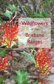 The cover image of Wildflowers of the Brisbane Ranges, featuring red and y