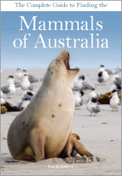 The foreground of the cover features a sea lion sitting on a beach. Behind