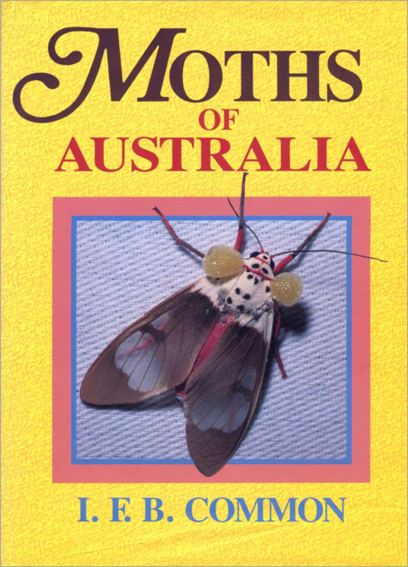 The cover image featuring a grey and blue moth, with two large yellow orbs on its head, against a grey background, set into a bright yellow cover.