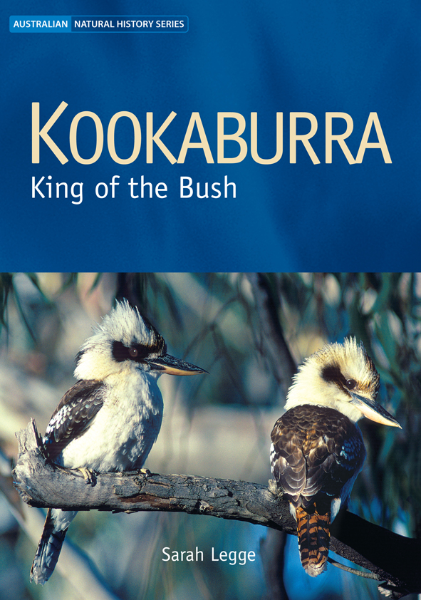 The cover image of Kookaburra, featuring two kookaburras sitting on a branch with out of focus foliage in the background.