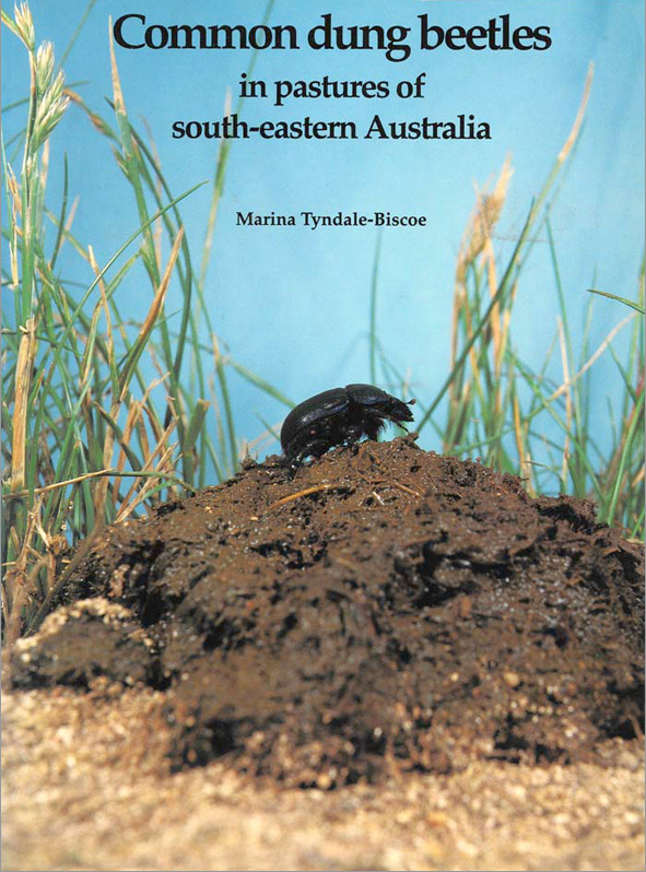 The cover image of Common Dung Beetles in Pastures of South-eastern Australia, featuring a large black dung beetle on top of a mound of dirt, with lon