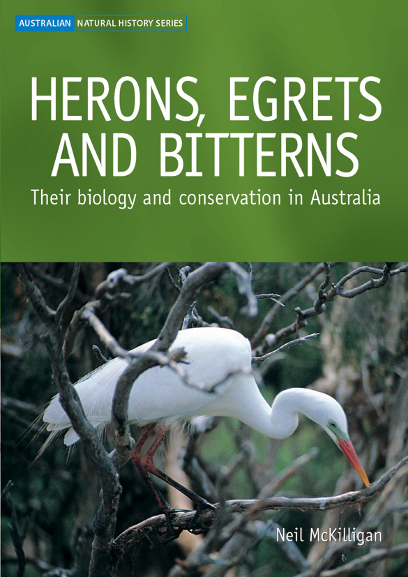 The cover image of Herons, Egrets and Bitterns, featuring a large white bird with an orange beak perched in a tree, with grey branches surrounding it.