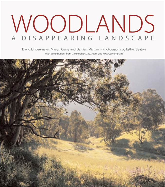 The cover image of Woodlands, featuring woodlands around a clearing of short green grassy hills.