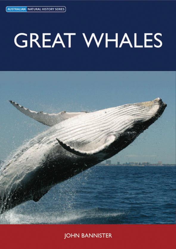 The cover image of Great Whales, featuring a large whale mid jump, with its body out of the water and its belly facing up, water and sky in the backgr