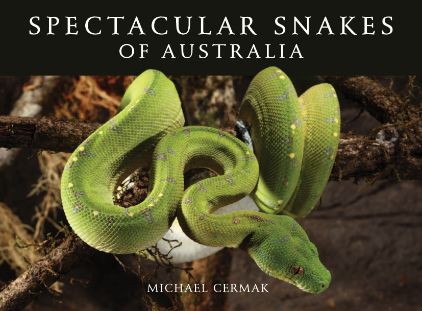 The cover image of Spectacular Snakes of Australia, featuring a bright green snake curled around a moss covered branch.