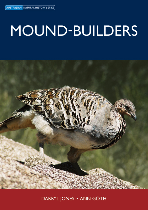 The cover image of Mound-builders, featuring a fat bodied brown bird perched on a rock with an out of focus green background.