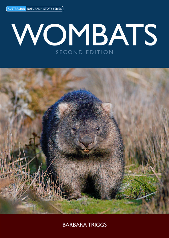 The cover image of Wombats, featuring a frontal view of a wombat standing on short green grass surrounded by long brown grass.