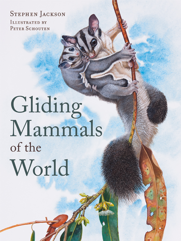 The cover image of Gliding Mammals of the World, featuring a possum with a baby on its back holding onto a thin branch, with a water colour blue sky i