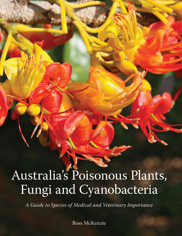 The cover image featuring brightly coloured yellow and red flowers against an out of focus background.