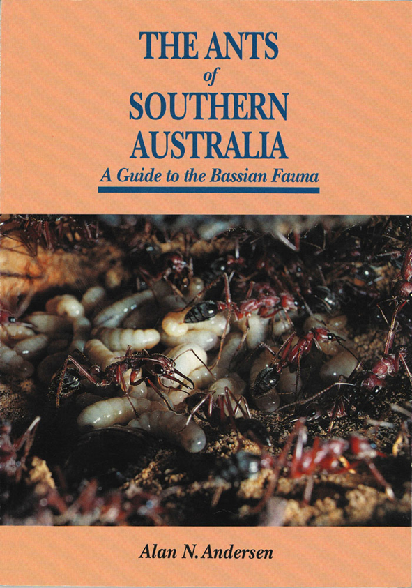 The cover image of The Ants of Southern Australian, featuring ants walking over their larvae.