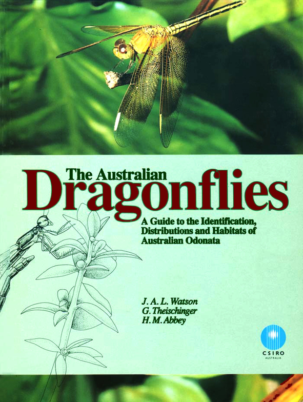 The cover image features a photograph and an illustration of a dragonfly against green leaves and plain mint green backgrounds.