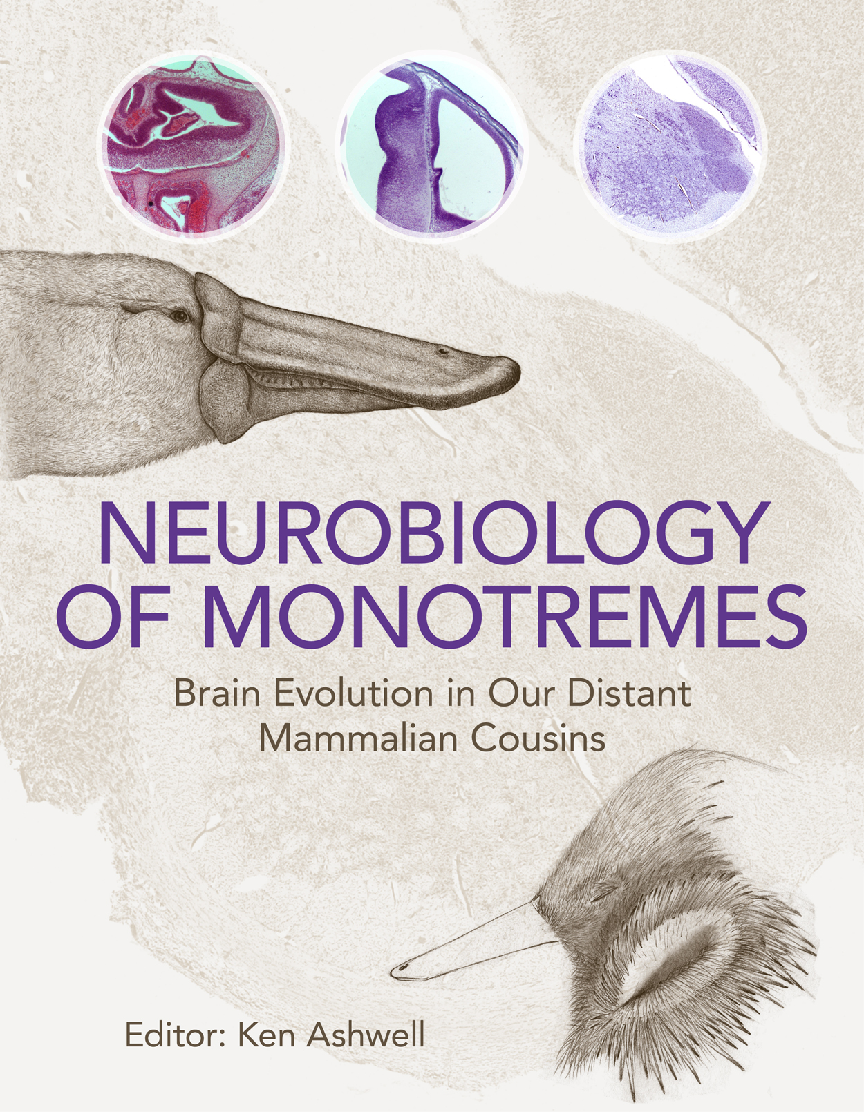 The cover image featuring a picture of a platypus and an echinda and three images of the neurobiology of them.