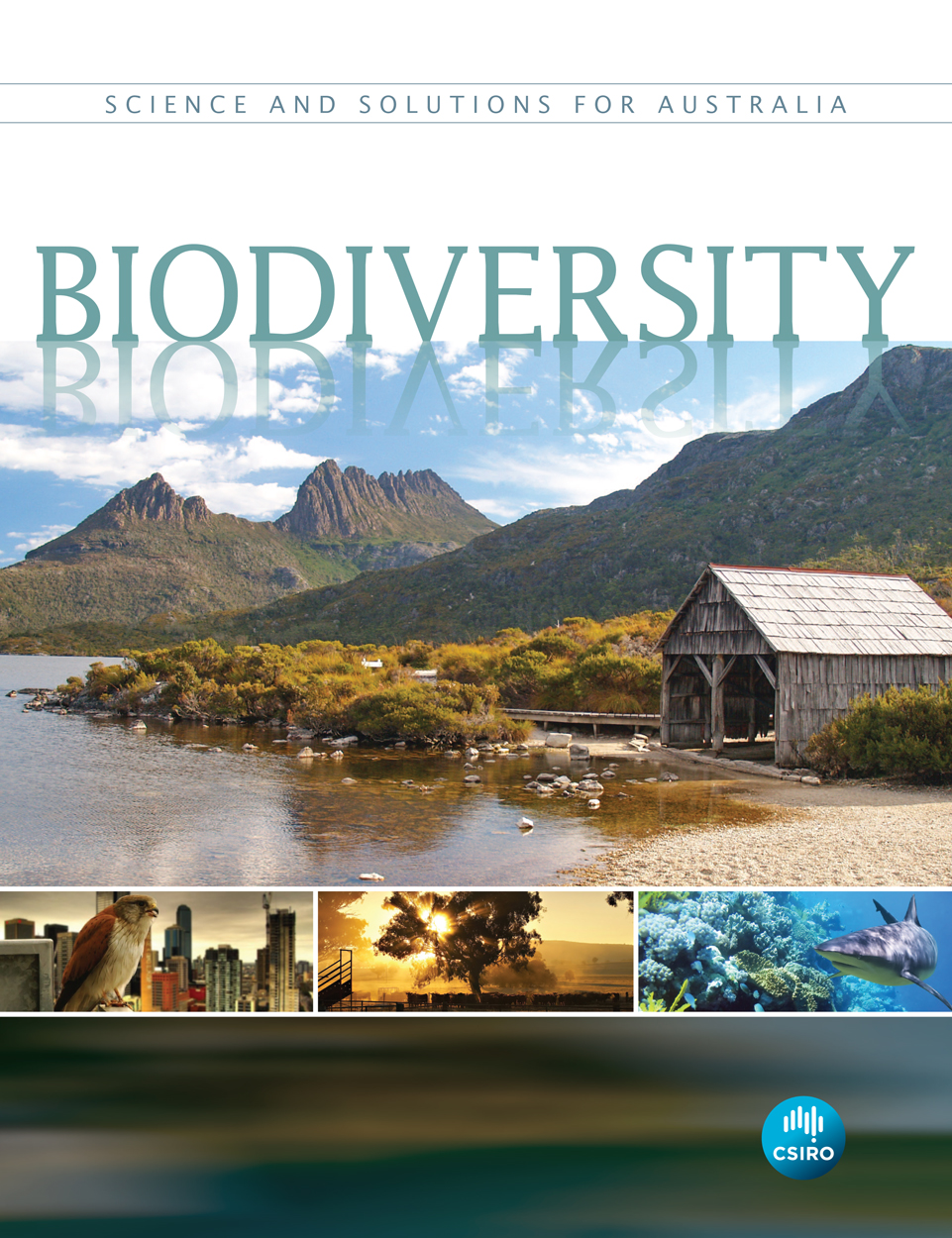 cover of Biodiversity