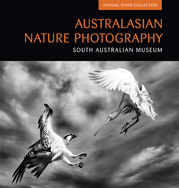 Cover image of Australasian Nature Photography, featuring a black and white photograph of two birds flying at each other against a cloudy background.