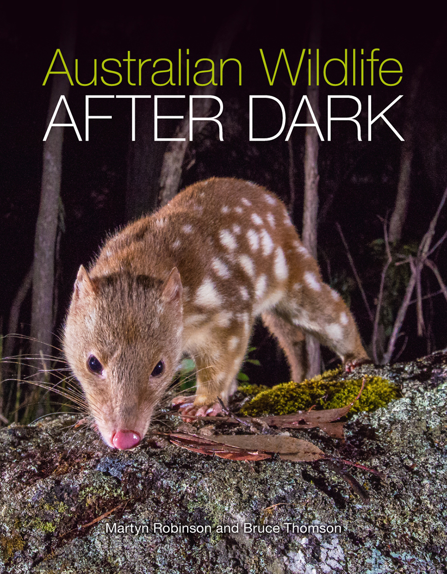 Cover image featuring a close up image of a quoll sniffing the ground at nighttime.
