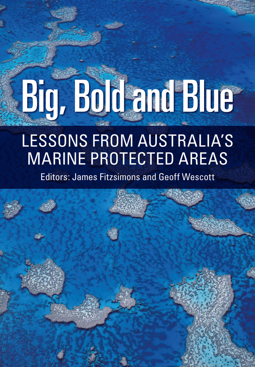 Cover of Big, Bold and Blue featuring an aerial photograph of coral reefs in blue water.