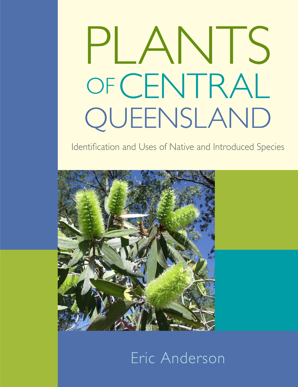 Cover featuring a photo of green broad-leaved teatree flowers.