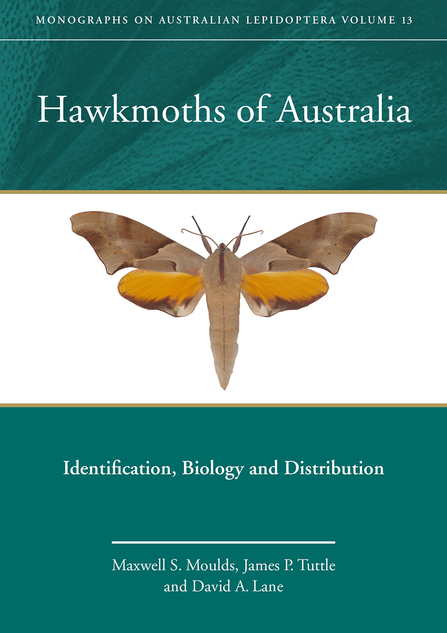 Cover of Hawkmoths of Australia, featuring a moth with brown and orange wings, set against a white and green background.
