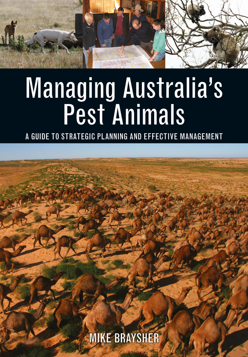 Cover featuring photographs of wild dogs, a strategic planning meeting, koalas in a bare tree and camels crossing a desert landscape.