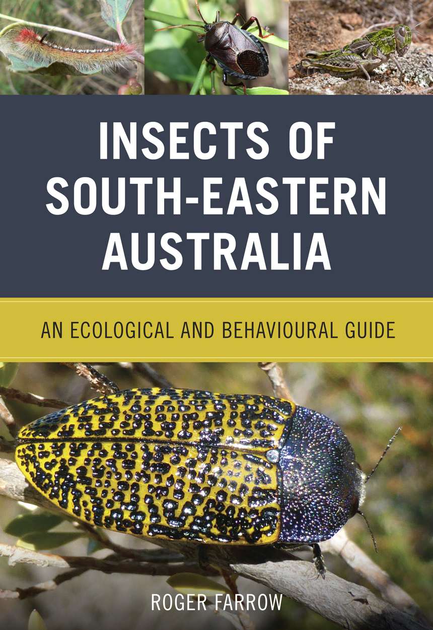Cover featuring images of an assortment of insects.