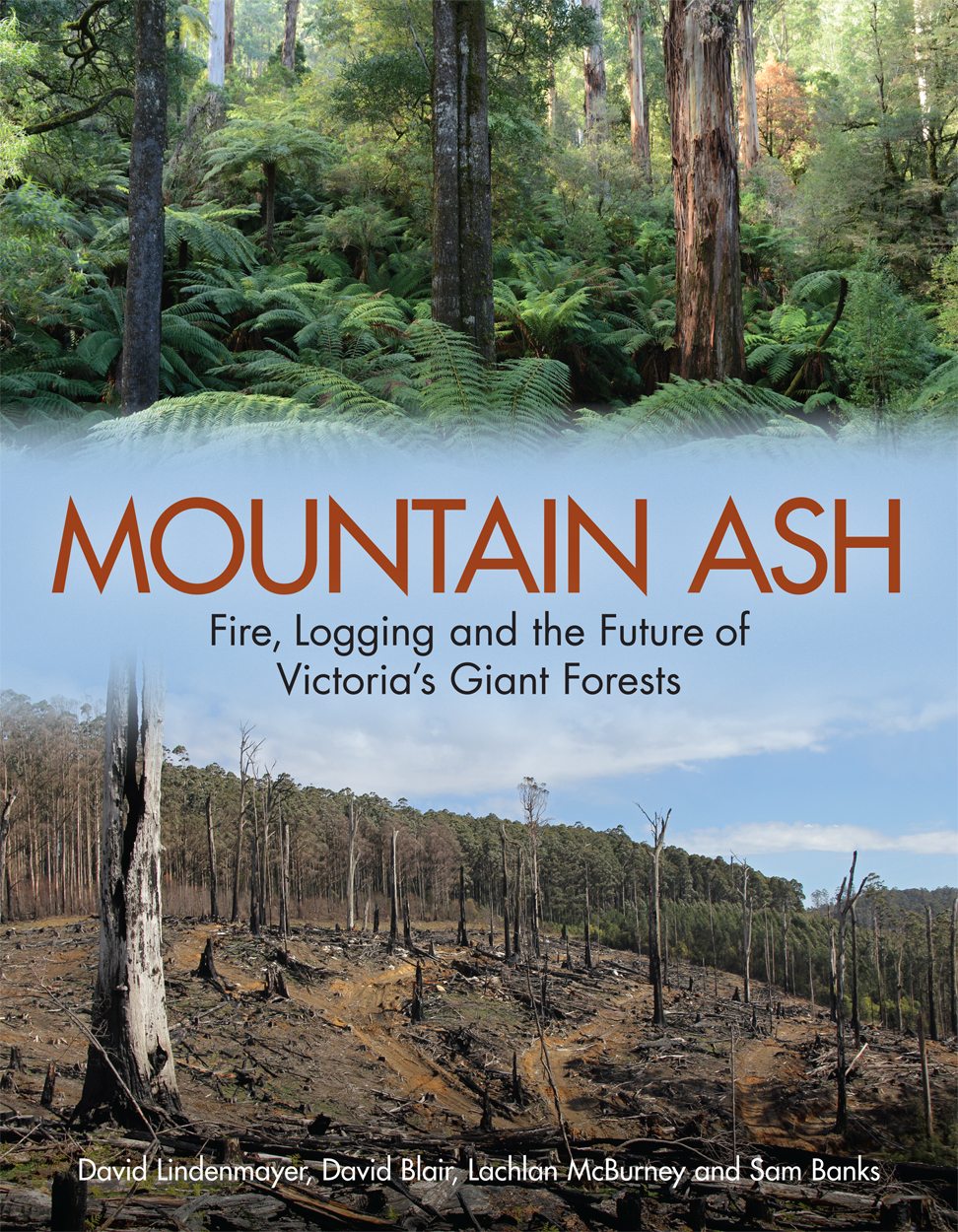 Cover of Mountain Ash, featuring a photo of a lush forest and a photo of a logged forest