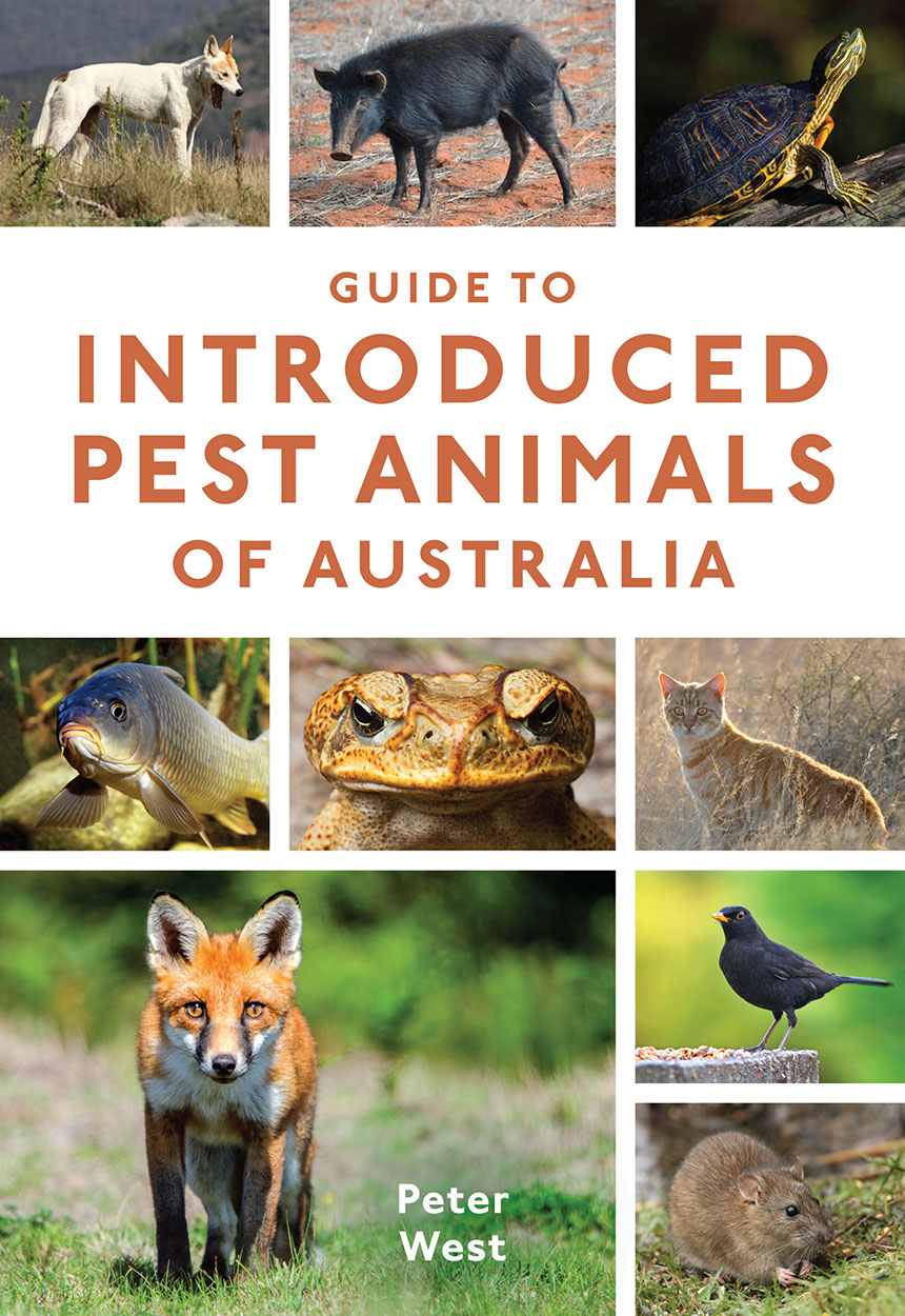 Cover featuring photos of a wild dog, feral pig, turtle, carp, cane toad, feral cat, blackbird, mouse and fox