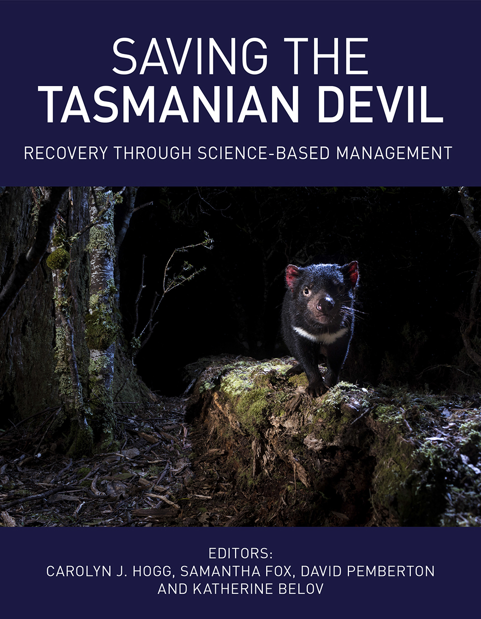 Cover of Saving the Tasmanian Devil featuring a photo of a Tasmanian devil standing on a tree stump at night.