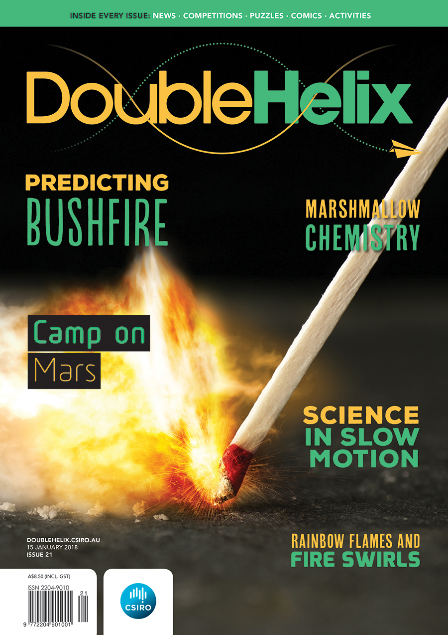 Cover with photo of a match being struck.