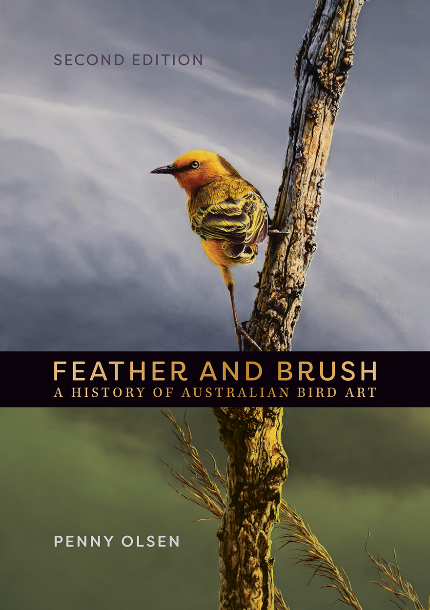 Cover image of Feather and Brush, featuring artwork of a Yellow Chat perched on a vertical branch in front of a cloudy background.