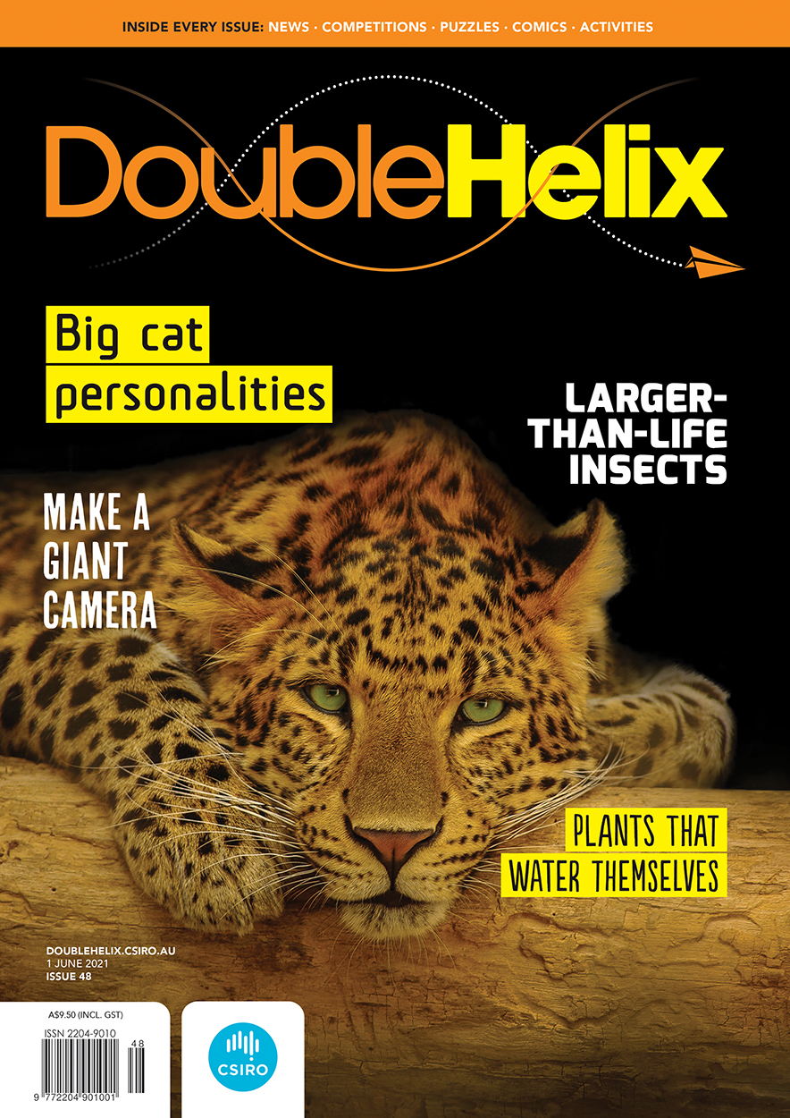 Cover of Double Helix magazine Issue 48, featuring a photo of an African leopard resting on a log and staring directly at the viewer, on a black backg