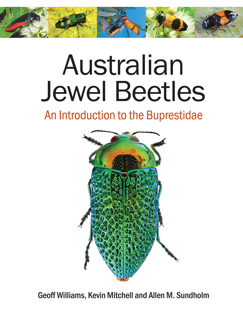 Cover of 'Australian Jewel Beetles', featuring a stunning metallic green jewel beetle on a white background, and thumbnails of a five other beetles wi