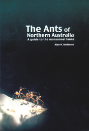 The cover image featuring four red coloured ants on a stone ground surroun