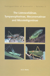The cover image featuring four square images of green insects, set into a plain pale golden brown cover.