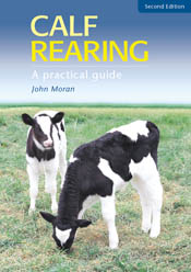 Calf Rearing