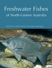 The cover image of Freshwater Fishes of North-Eastern Australia, featuring a grey fish, with an orange eye swimming next to rocks.
