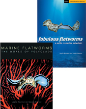 cover of Flatworms Set