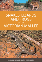 The cover image of Snakes, Lizards and Frogs of the Victorian Mallee, featuring a white and brown lizard in red dirt and bracken.
