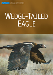 The cover image of Wedge-tailed Eagle, featuring a large wedge tailed eagl