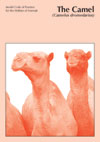 Cover image of Model Code of Practice for the Welfare of Animals: The Camel, featuring two camels on an orange background.