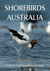 The cover image of Shorebirds of Australia, featuring a long legged bird, with a white and black body and brown head walking through water.