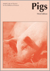 The cover image of Model Code of Practice for the Welfare of Animals: Pigs, featuring a picture of a pig snuffling the ground, with a pink cover overt