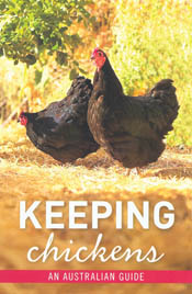 cover of Keeping Chickens: An Australian Guide