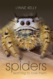 cover of Spiders
