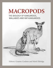The cover image of Macropods, featuring a kangarood with a joey in its pou