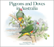 Cover image of Pigeons and Doves in Australia, featuring an illustration of two Rose Crowned Fruit Doves on a white background