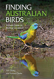 Cover image featuring a brightly coloured bird with its image reflected in