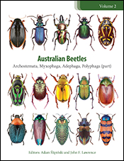 The cover image of Australian Beetles Volume 2, featuring 15 beetles of various shapes, colours and sizes in neat rows of five against a plain white b