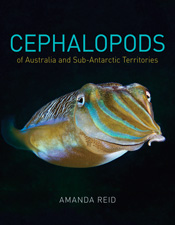 Cover image featuring a yellow and fluorescent blue cuttlefish on a black