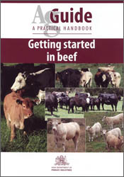 cover of Getting Started in Beef