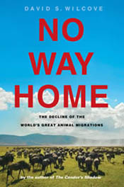 cover of No Way Home
